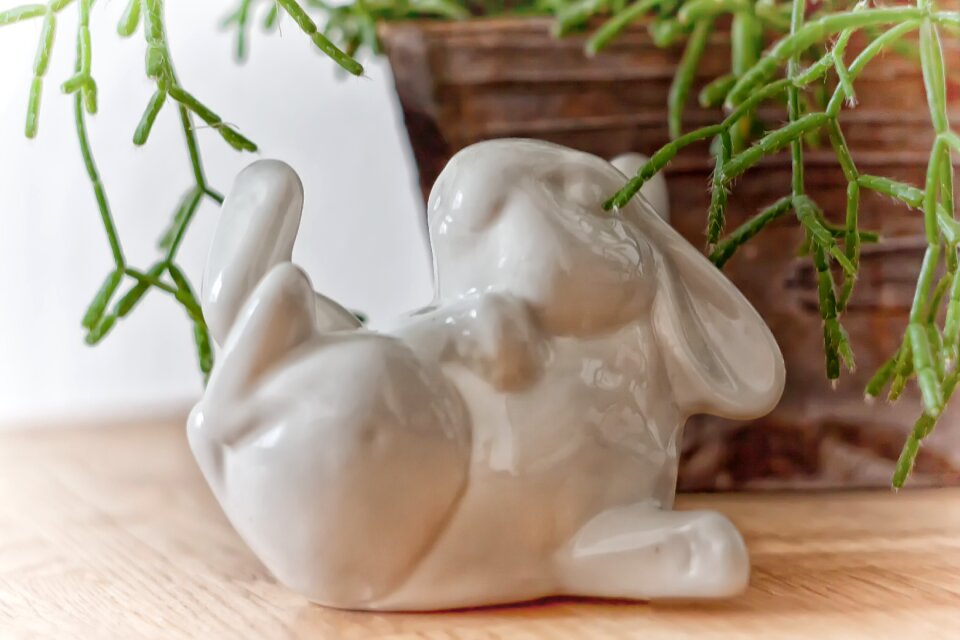 Spring easter bunny long eared