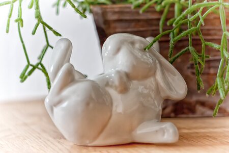 Spring easter bunny long eared