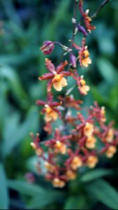  DSC4290