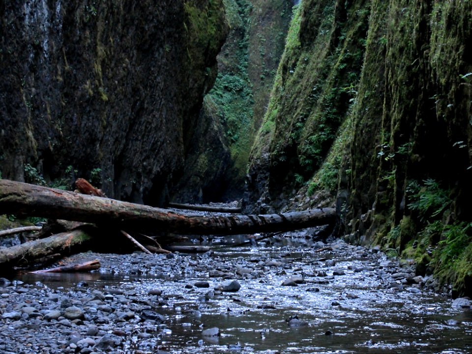 Oneonta Gorge at Columbia River Gorge in OR
