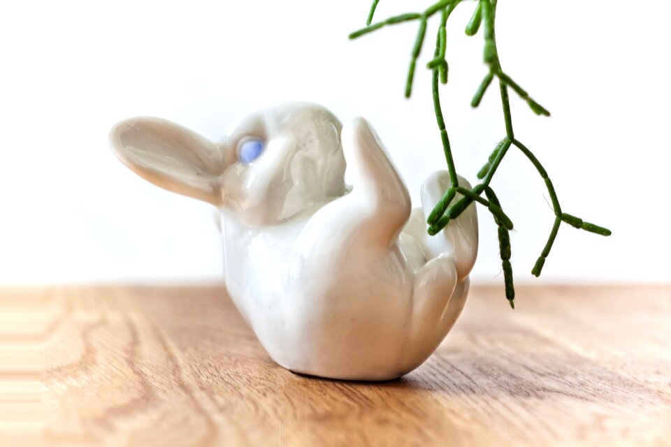 Spring easter bunny long eared