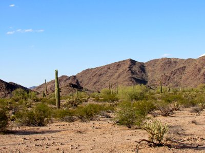 Sonoran Desert NM in AZ