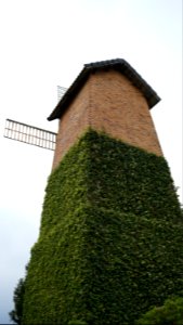  DSC4656
