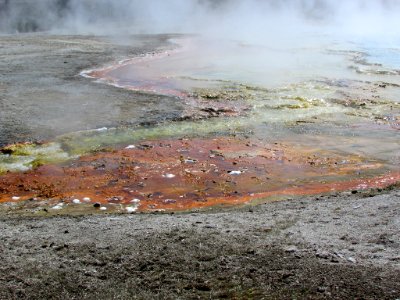 Yellowstone NP in WY