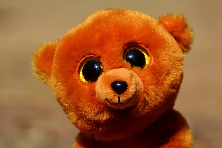 Soft toy teddy cute