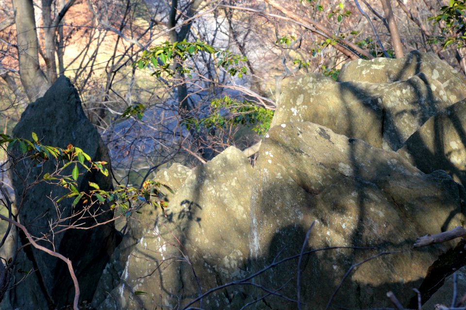 Pulpit rock from on top photo