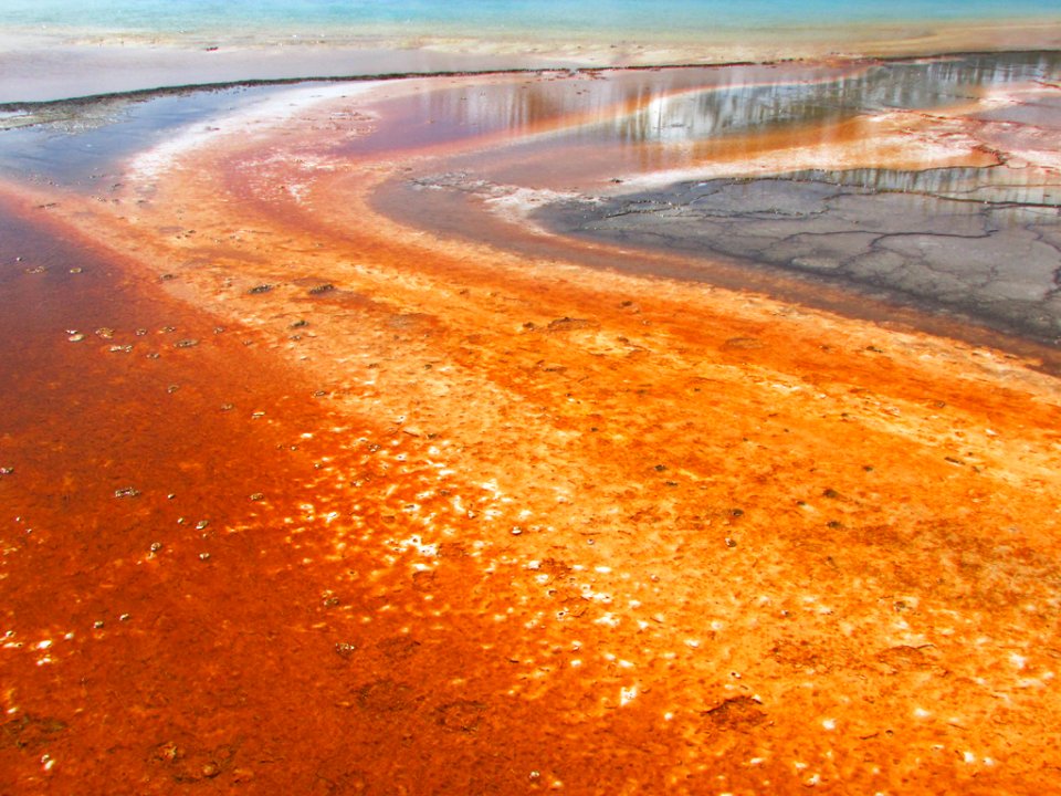 Yellowstone NP in WY