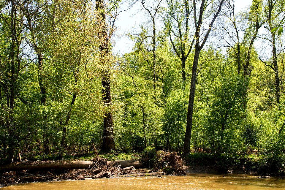 Rock Creek in spring