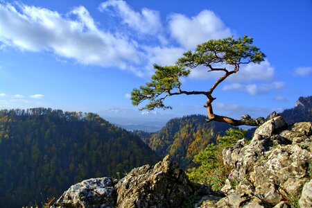 Trail poland tour