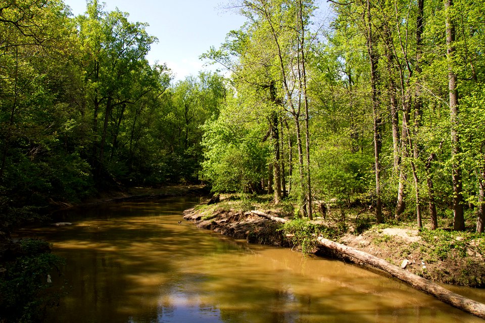 Rock Creek floodplain