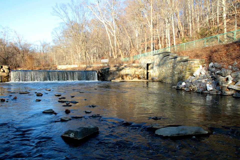 Fish ladder on Peirce Mill dam, Rock Creek