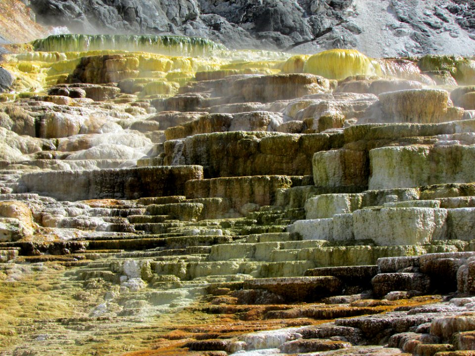 Yellowstone NP in WY
