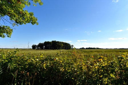 Woodland Trail at Sherburne National Wildlife Refuge