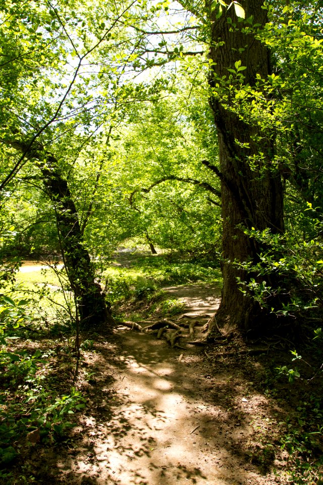 Streamside at Rock Creek
