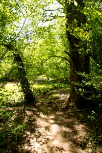 Streamside at Rock Creek