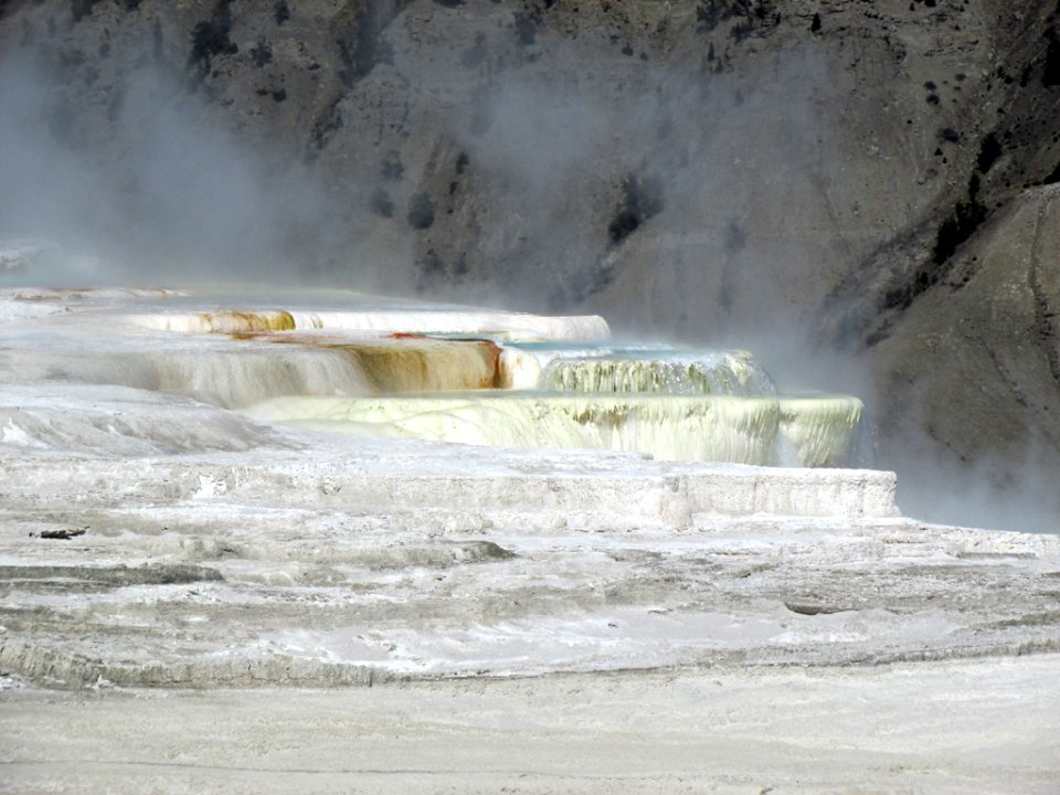 Yellowstone NP in WY