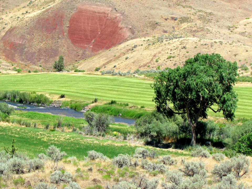 Cant Ranch at John Day Fossil Beds NM in OR