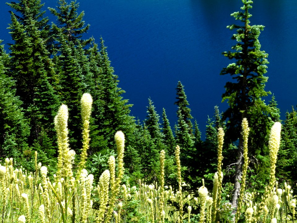 Eunice Lake at Mt. Rainier NP in WA
