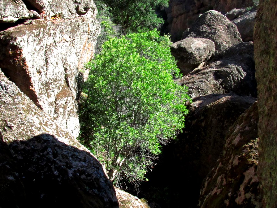 Pinnacles NP in CA