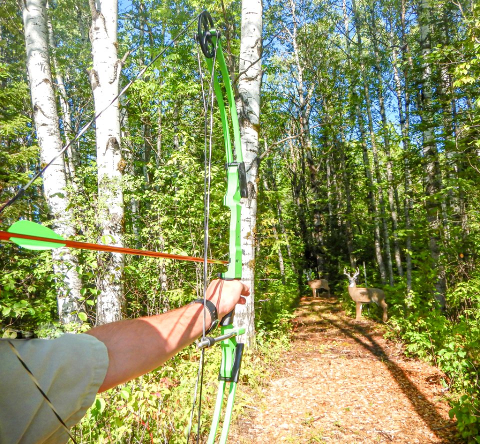 1 of 16 lanes from 3D walking archery range