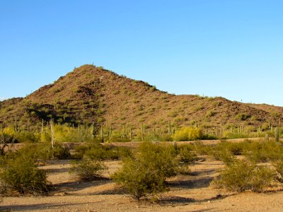 Sonoran Desert NM in AZ