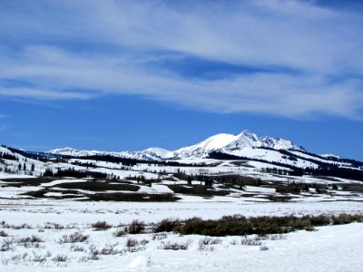 Yellowstone NP in WY