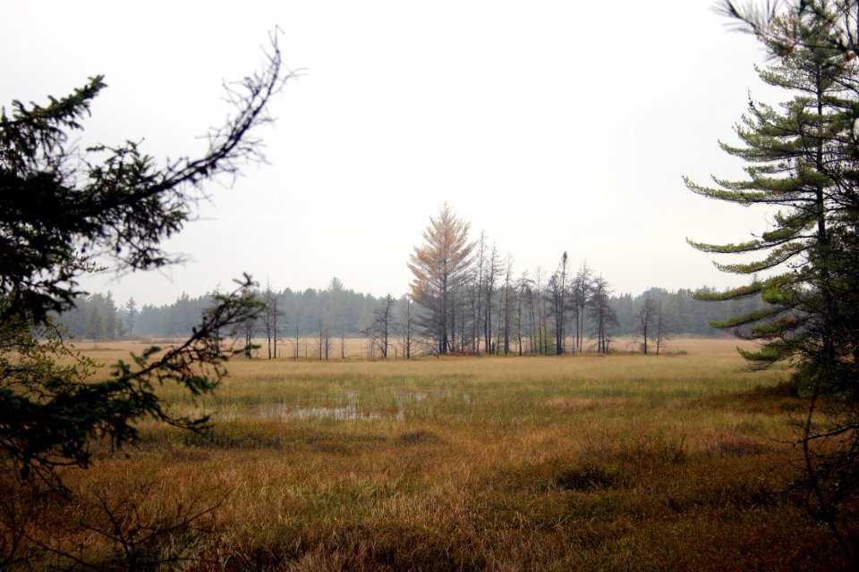 Seney National Wildlife Refuge