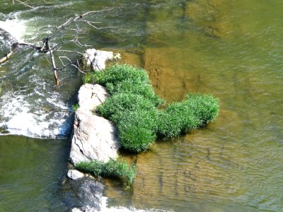 Rocky Bar and Shore – Water-willow Type at Harpers Ferry NHP photo