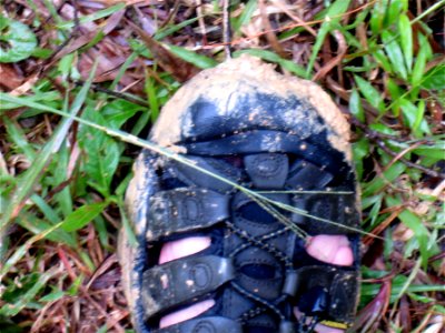 Mighty Mud