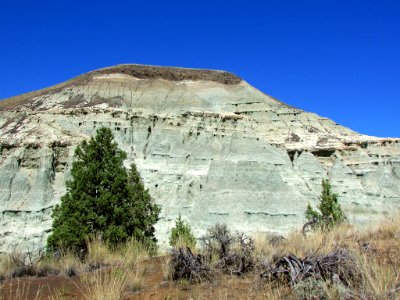 Sheep Rock Unit at John Day Fossil Beds NM in OR
