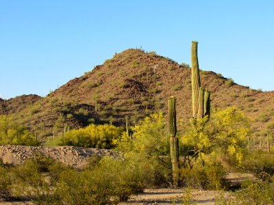 Sonoran Desert NM in AZ