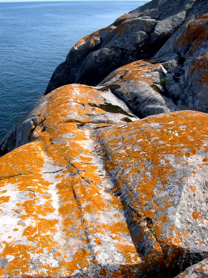 Glacial striations at Huron National Wildlife Refuge