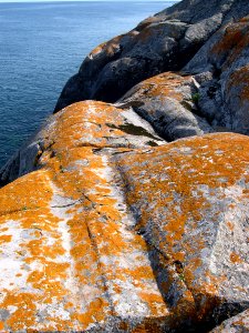 Glacial striations at Huron National Wildlife Refuge