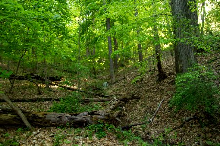 Near Cross Trail 2