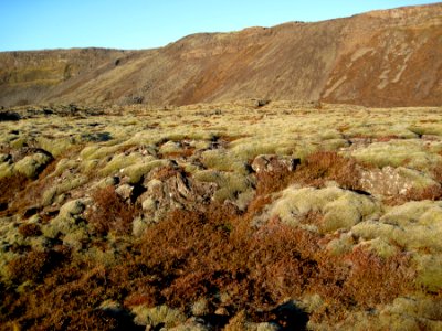 Mossy Rocks photo