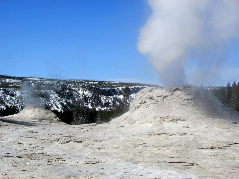 Yellowstone NP in WY
