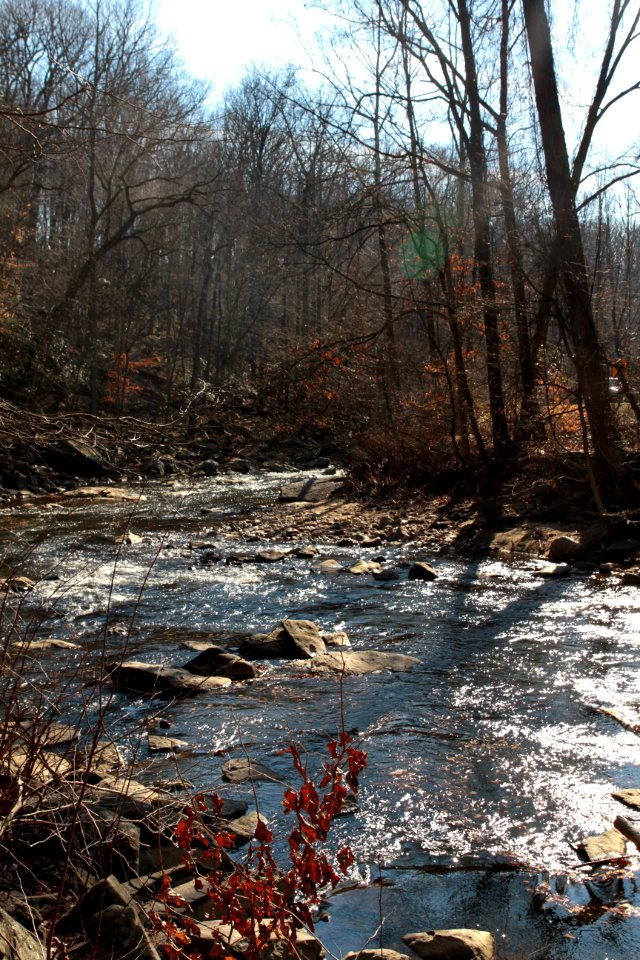 Rock Creek rapids