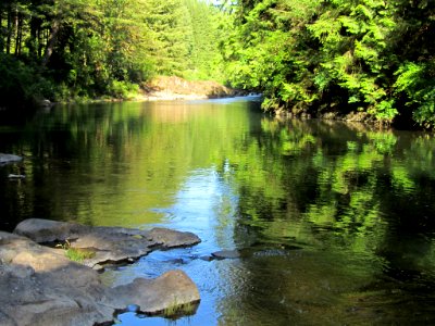 Moulton Falls Park at Lewis River in WA