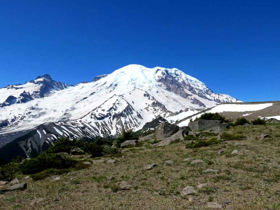 Mt. Rainier NP in Washington