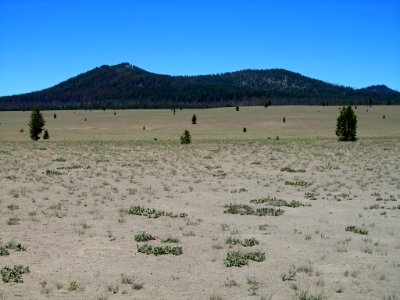 Pumice Desert at Crater Lake NP in OR photo