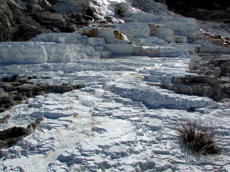 Yellowstone NP in WY
