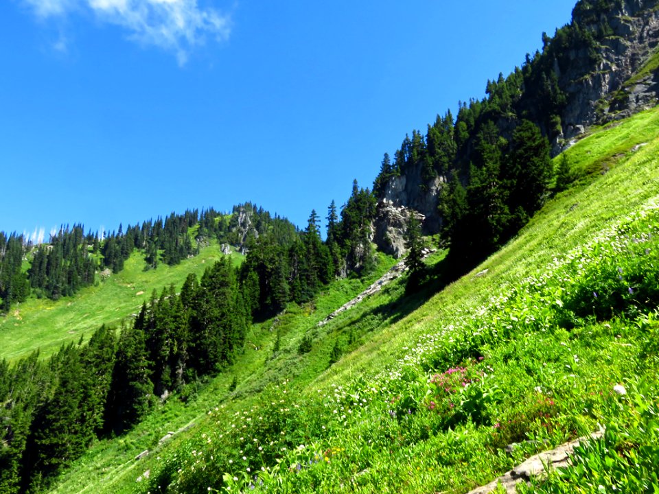 Hidden Lake Trail at North Cascades NP in WA