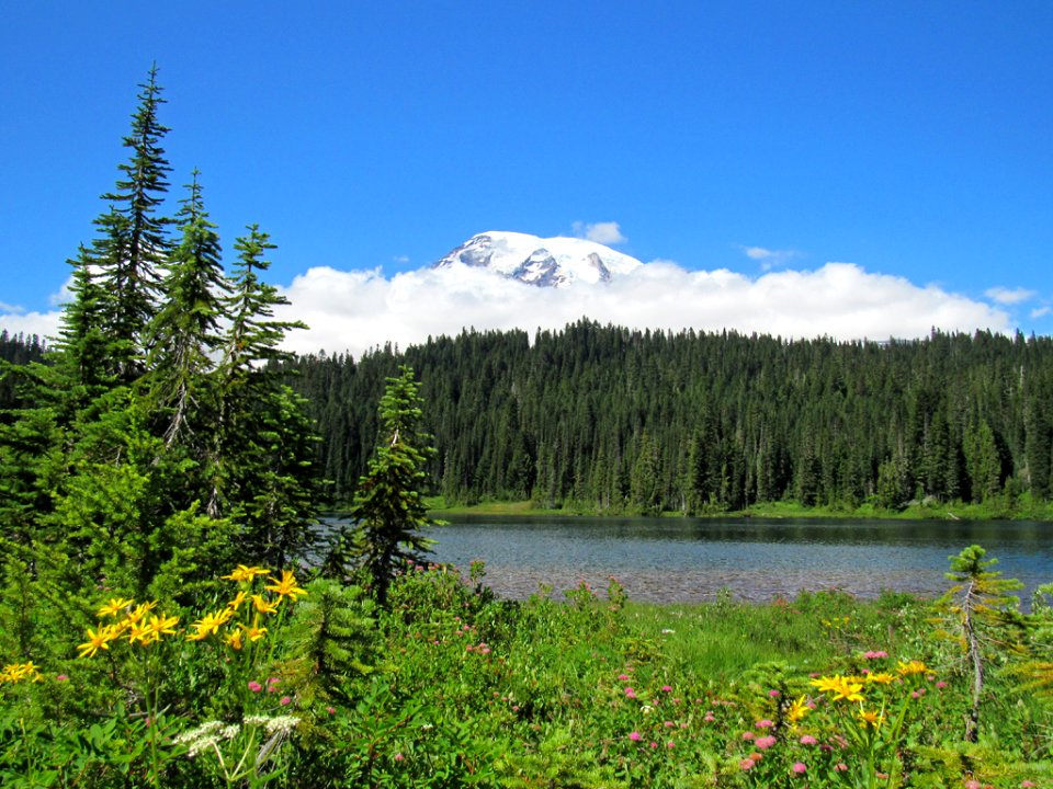 Reflection Lakes at Mt. Rainier NP in WA