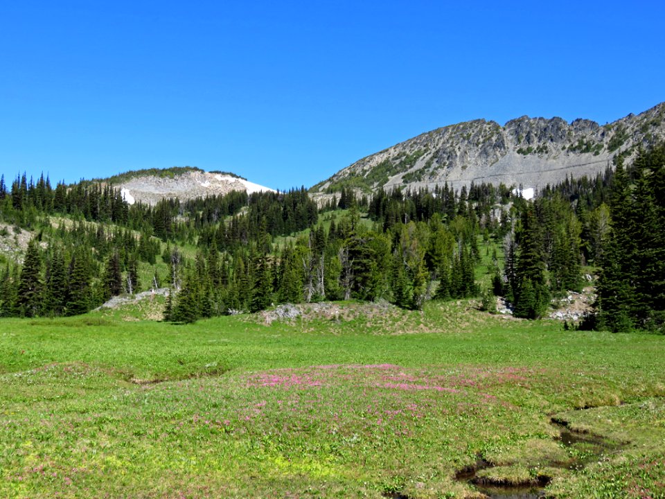 Mt. Rainier NP in Washington