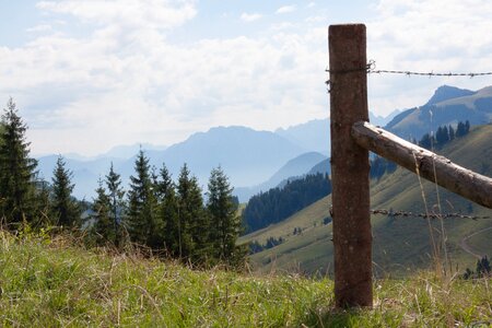 Stempen fence barbed wire photo