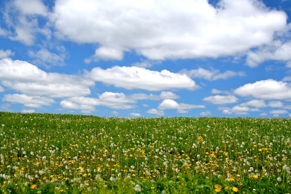 A summer day in Michigan near the Jordan River.