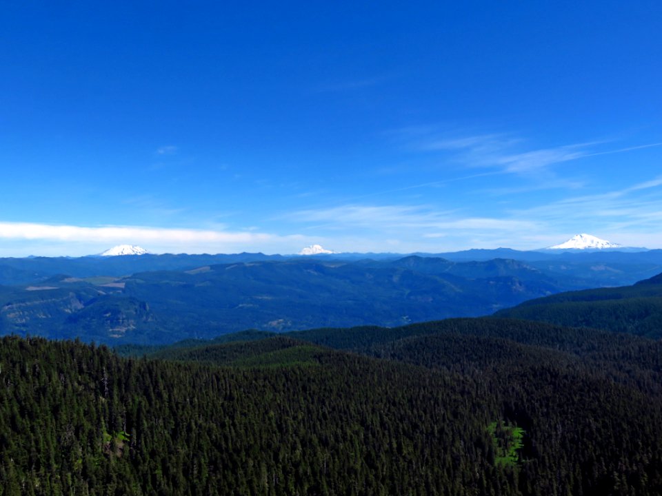 Larch Mountain in Oregon