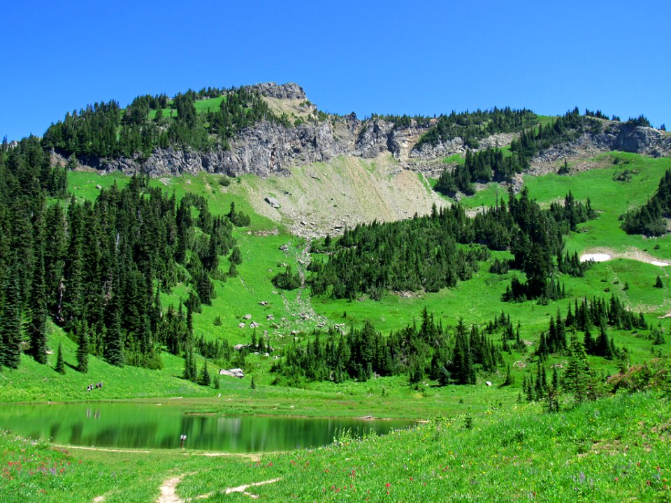 Tipsoo Lake at Mt. Rainier NP in WA