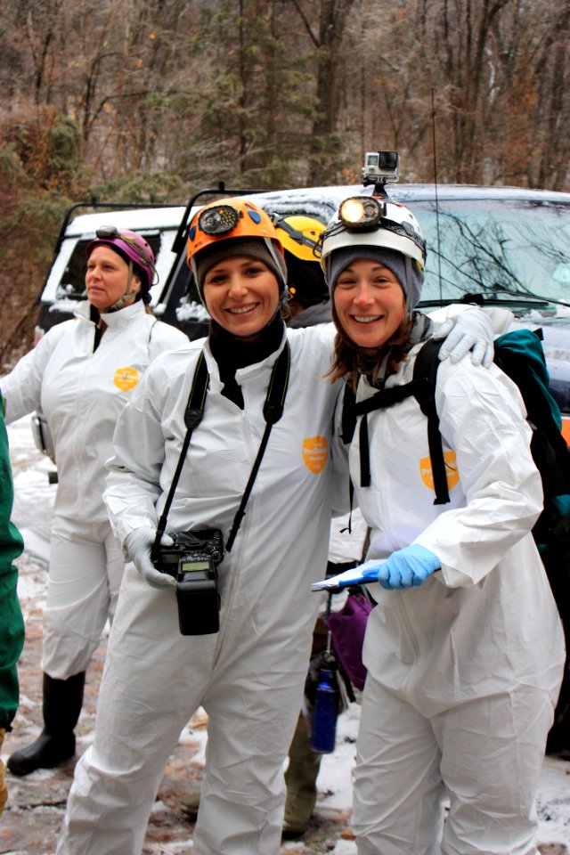 Bat survey crew