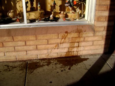 front vomit